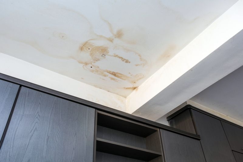 Crawl Space Remediation in Charleston, SC