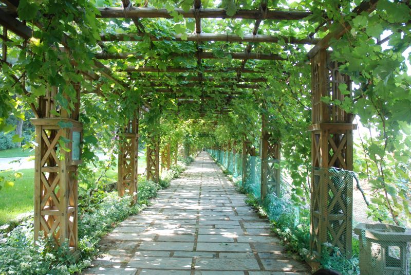 Outdoor Trellis Repair